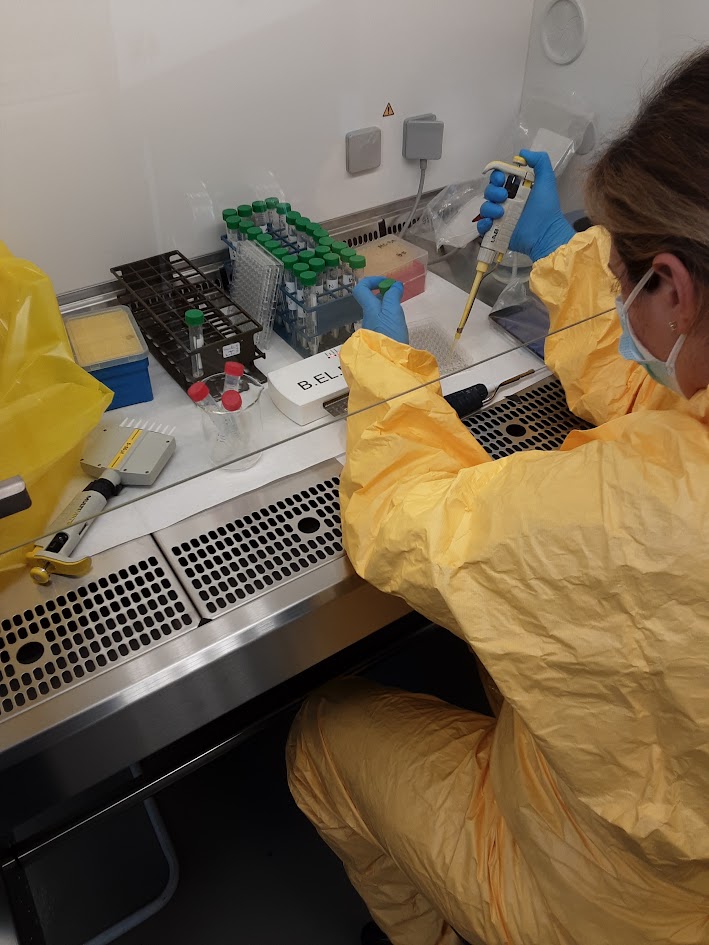 Coastal botanical research