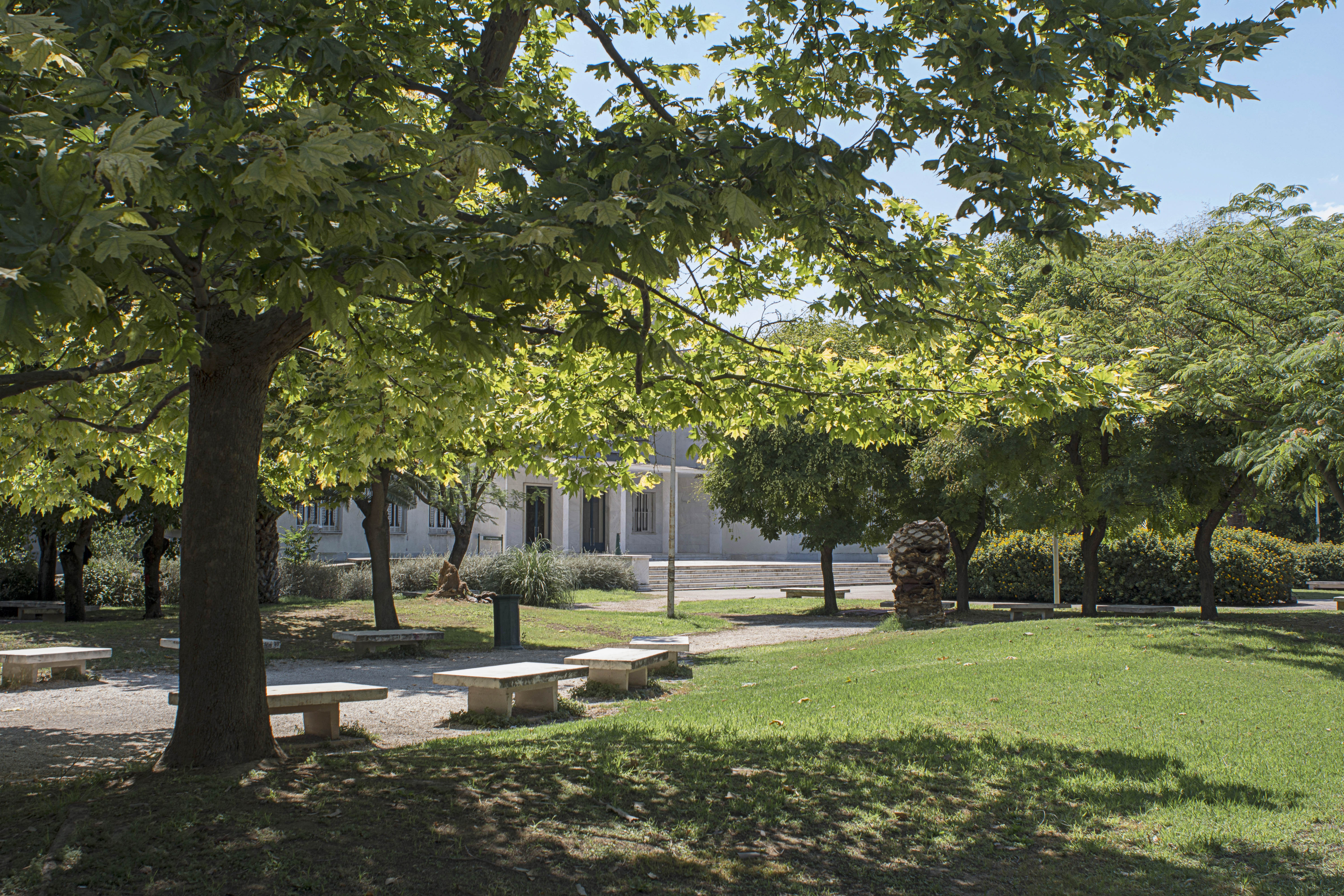 Campus park with lush green trees