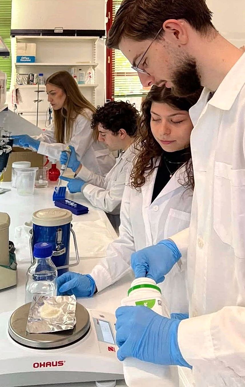 Students conducting research in laboratory