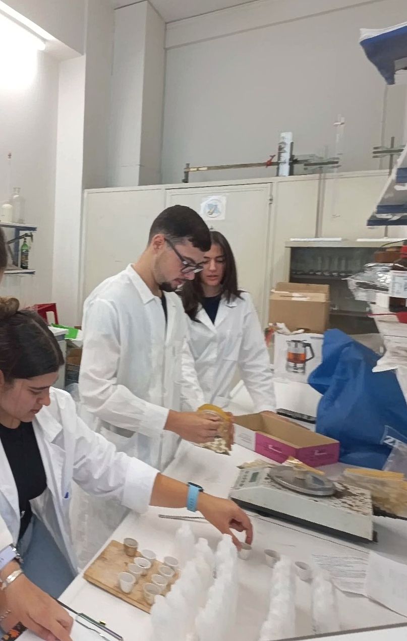 Students working in research laboratory at AUA
